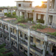 Image for article titled Abandoned Buildings In Tampico, Mexico Are Filled With Trees